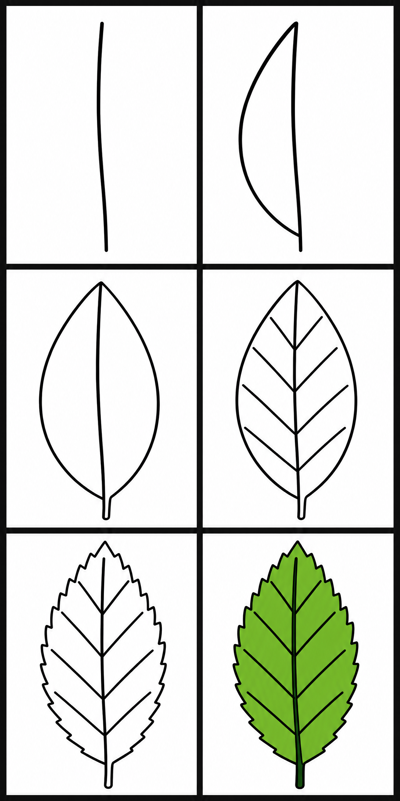 How to draw leaf — all 6 steps in one chart