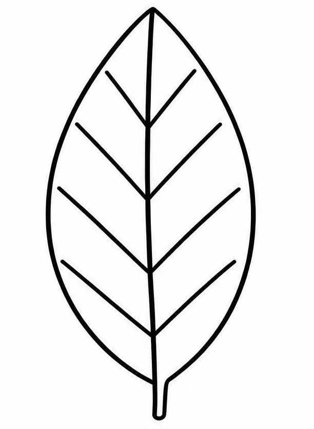 How to draw leaf — step 4