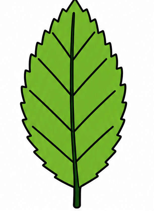 how to draw a leaf drawing