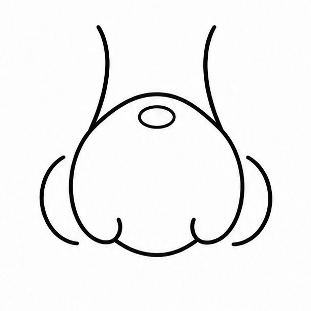 How to draw nose — step 5