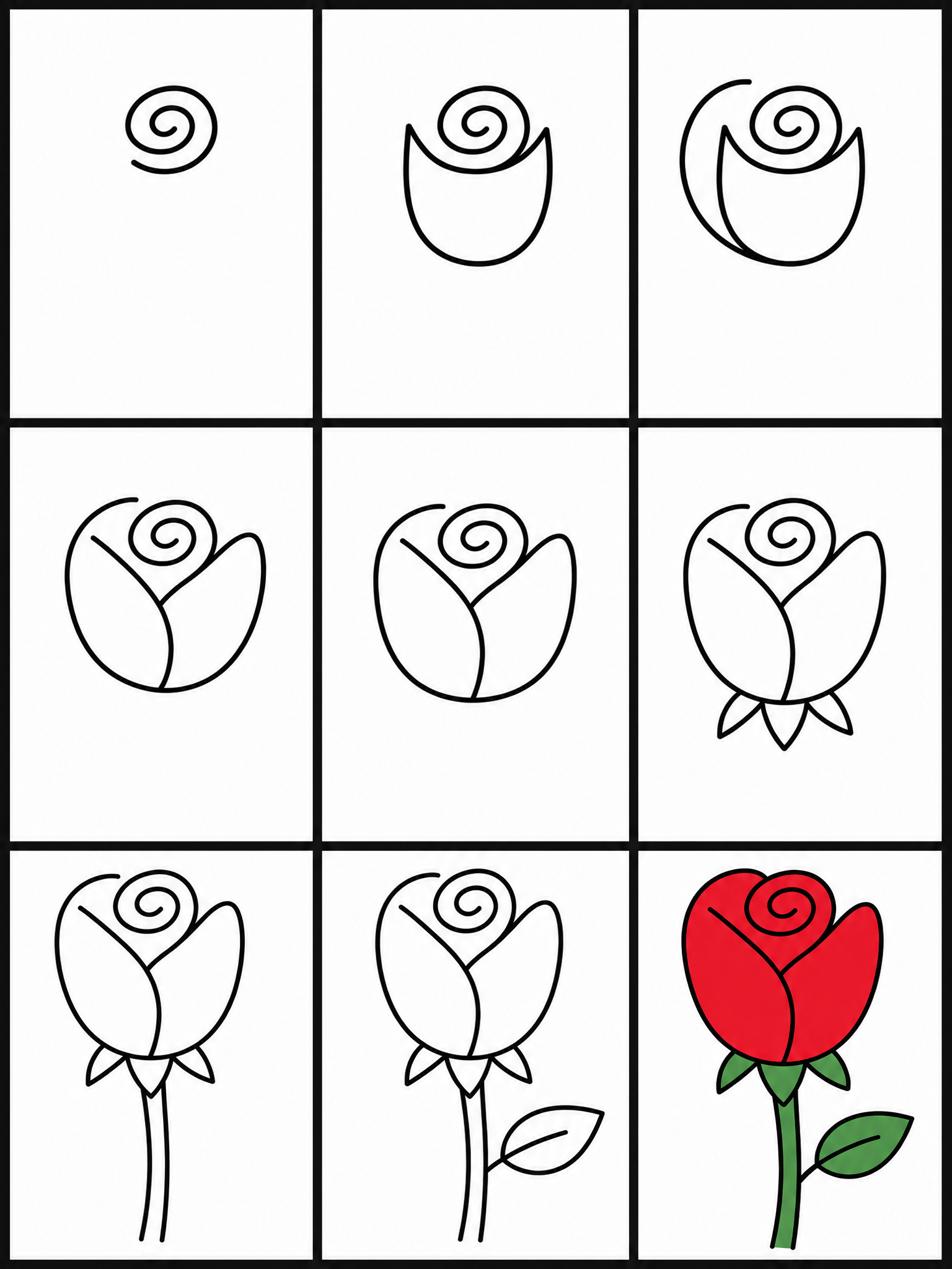 How to draw rose — all 9 steps in one chart