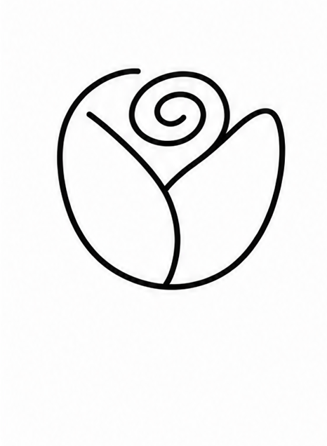 How to draw rose — step 4