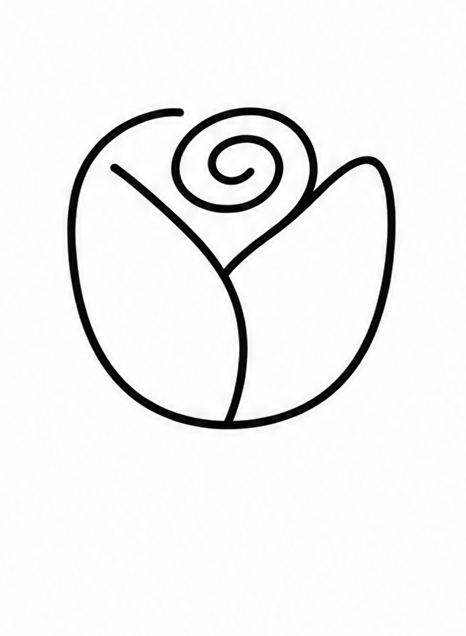 How to draw rose — step 5