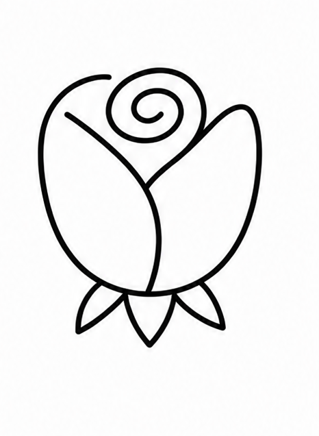 How to draw rose — step 6