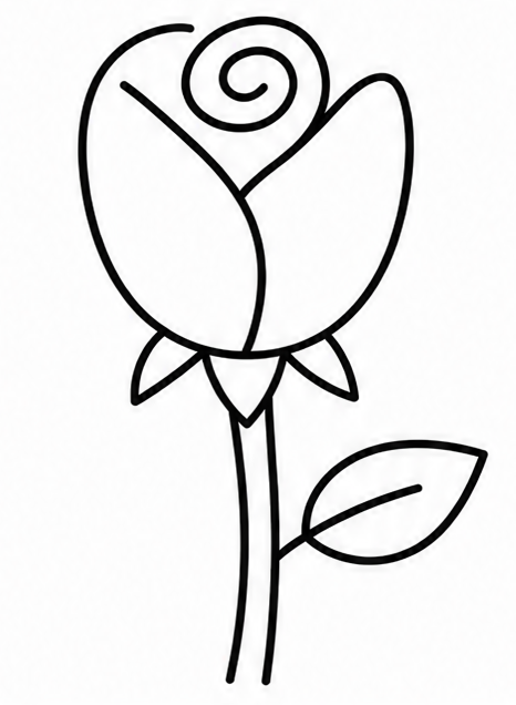 How to draw rose — step 8