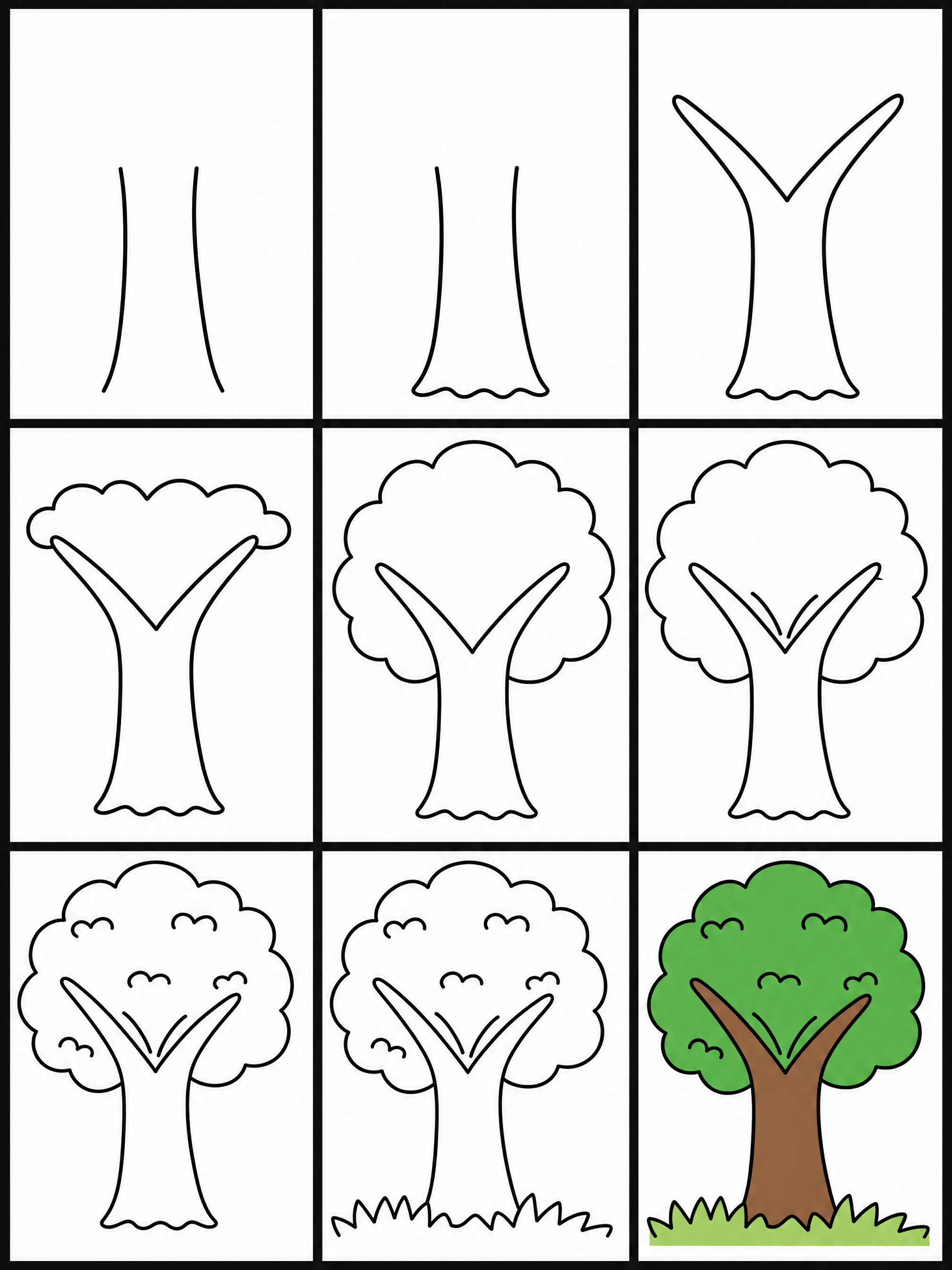 How to draw tree — all 9 steps in one chart