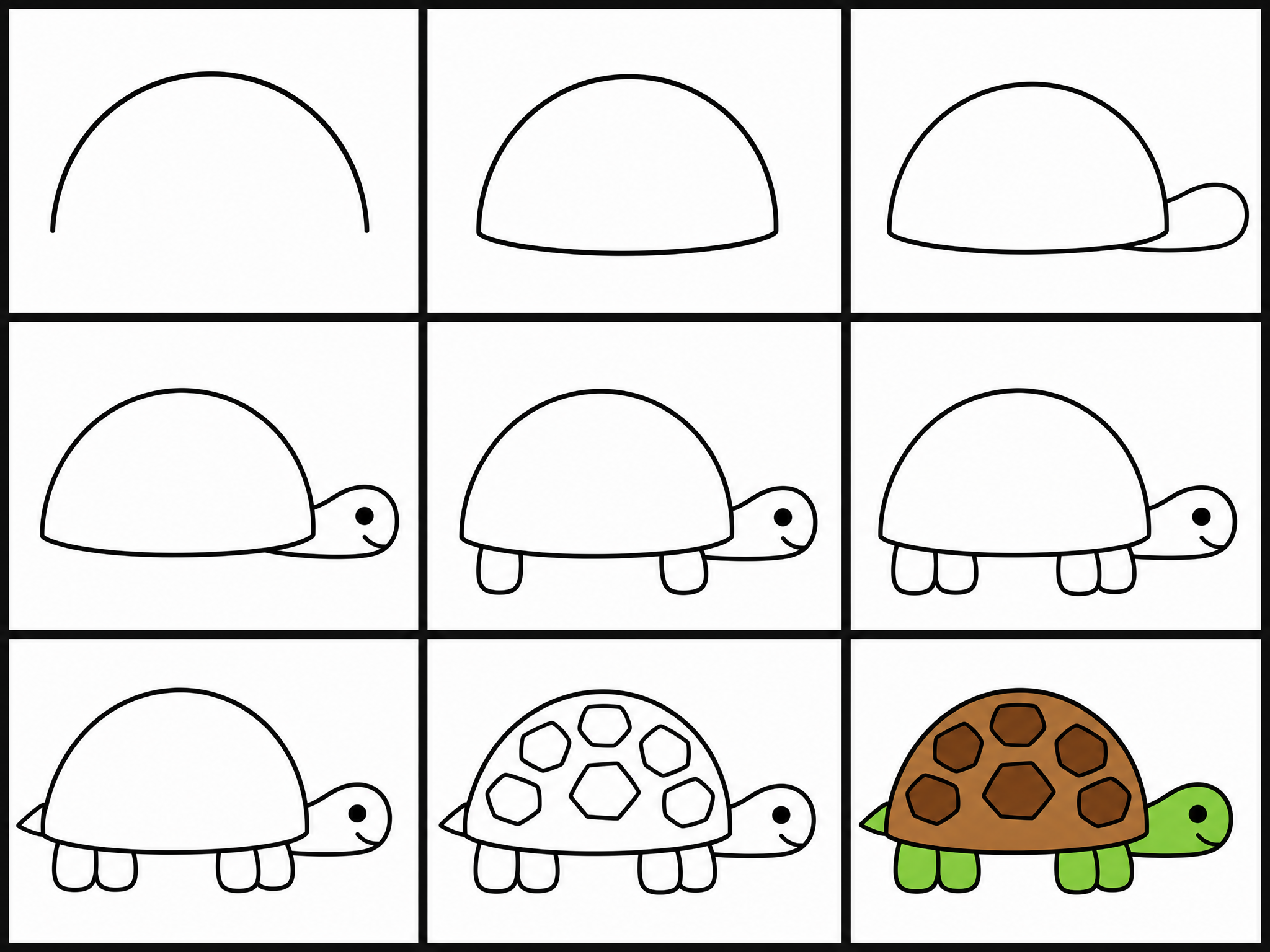 How to draw turtle — all 9 steps in one chart